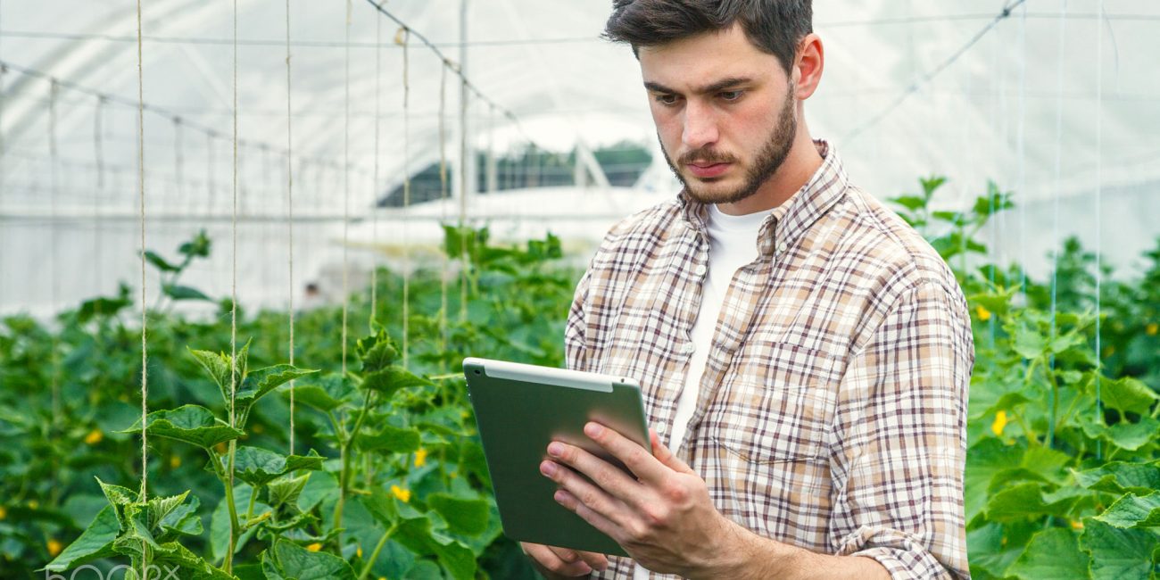 Young man working in a greenhouse recording measurements