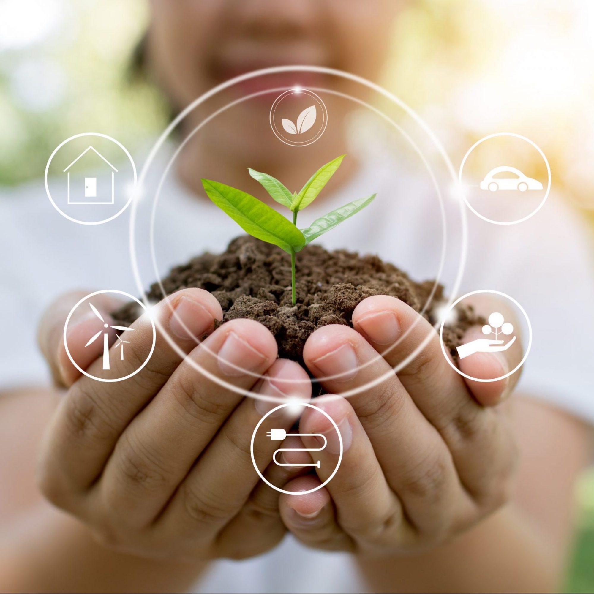 Plant tree and  innovation of save world  concept, girl holding small sapling  growing up from soil on palm with saving best quality of our natural environment circle